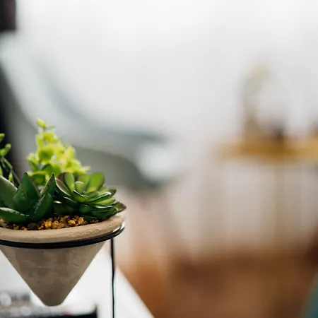 The Harmony Affittacamere 3*