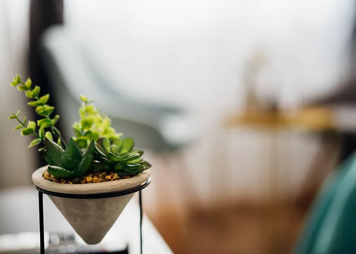 The Harmony Guest house 3*